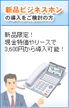 �V�i�r�W�l�X�z���̓������������̕�